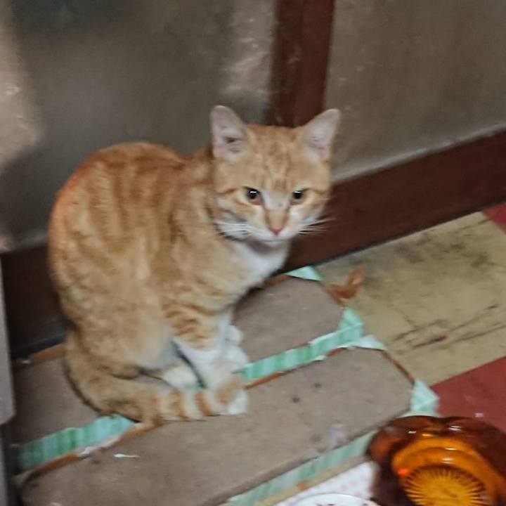 Bd11d6a8 7f56 4150 aba4 eca78c177905 1555878857158