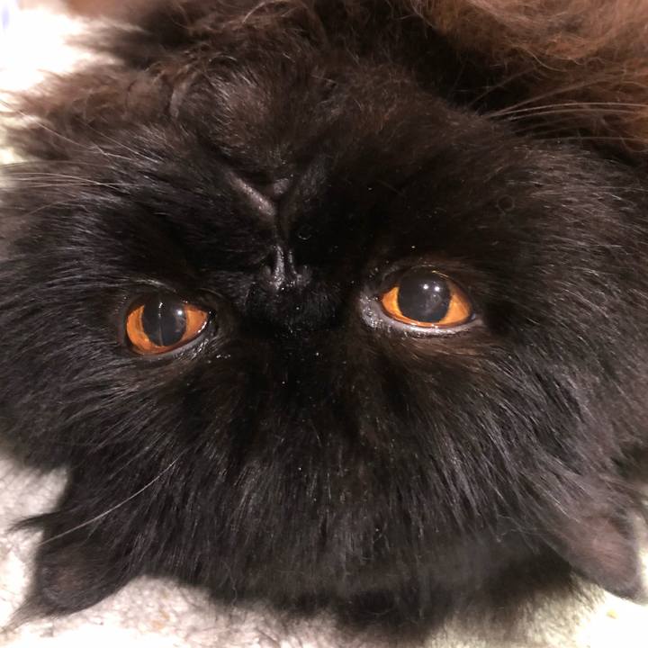 Bd12048a 2835 40e3 abd4 595c3add845c 1621424874284