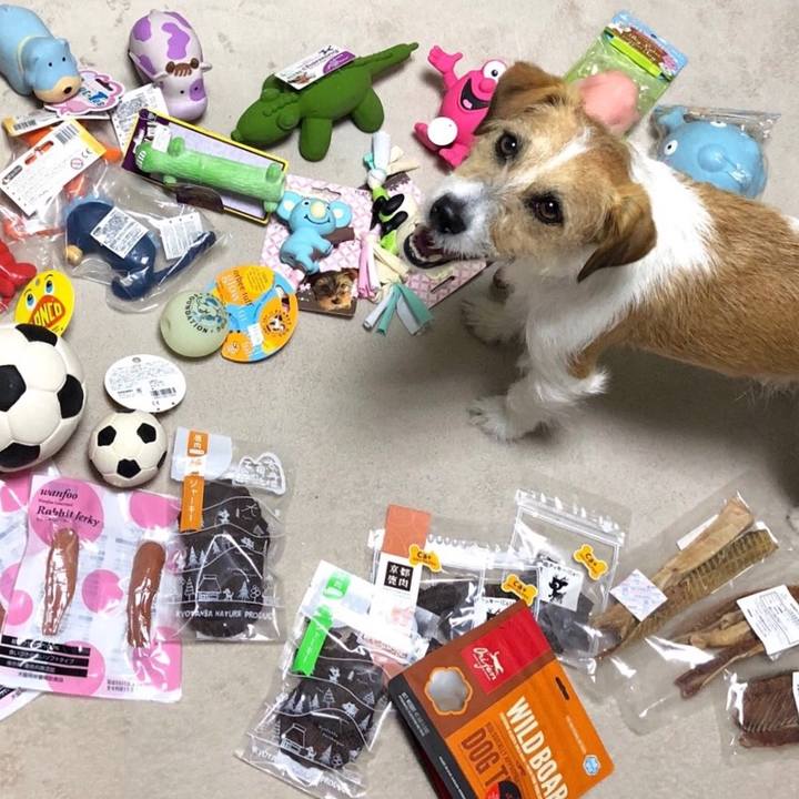 Bd120a1d a1a1 4fb3 91d9 30dd9e980dee 1555167522783