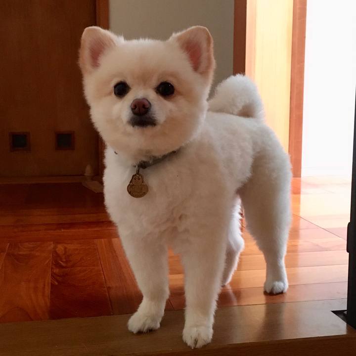 Bd120cff 3ddd 4dc2 8846 8a2f7ae066f0 1600817606697