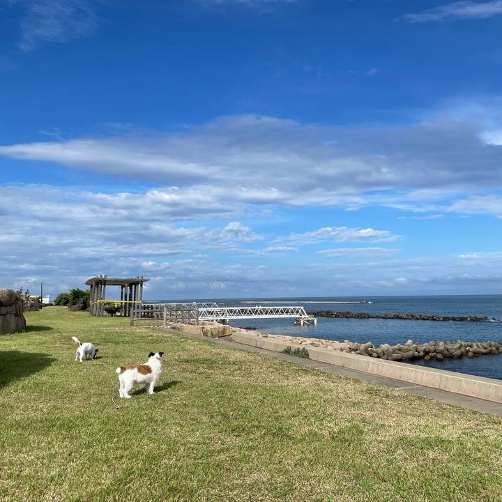 Bd120eca cb52 4205 b1fc a7ae95b8345e 1658013593295