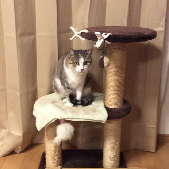 Bd122a6b 7016 4151 b543 abe724566ba6 1769729095277