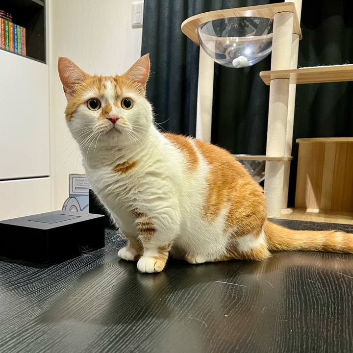 Bd12c1d7 628d 4083 9020 16a94bbc4044 1756438209570