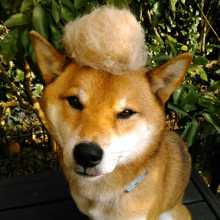 Bd133988 8e97 442d a483 0fdefad3b564 1516087955077