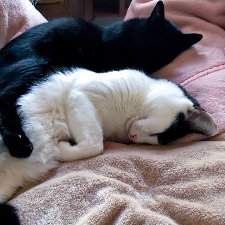 Bd1349ac cbc8 4e60 b640 d1aa8e7bbb27 1510149047175