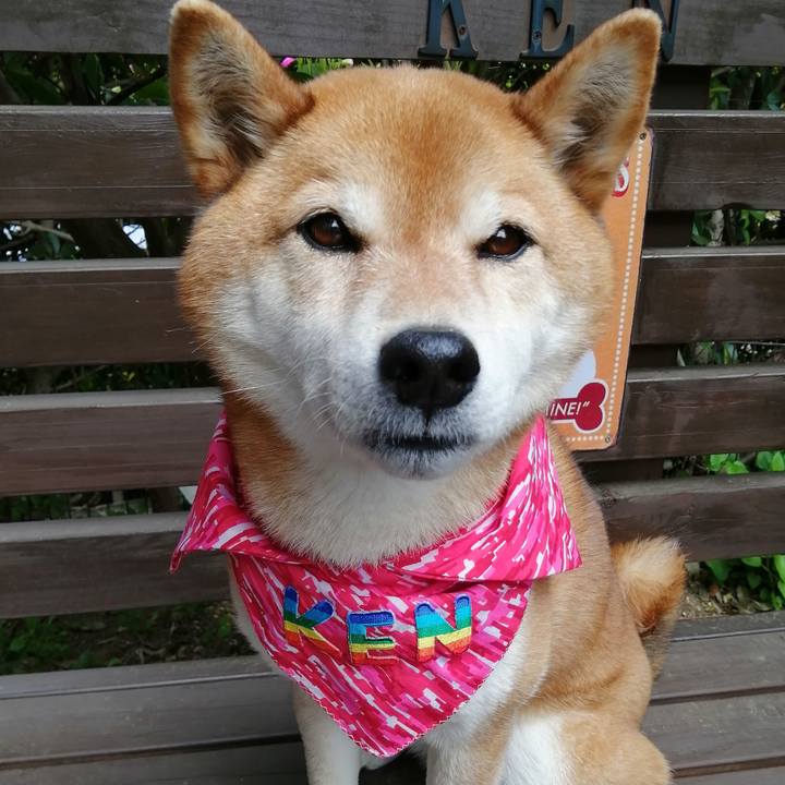 Bd136fcd 81d8 488c 8aaa d5052cc64570 1682147931452