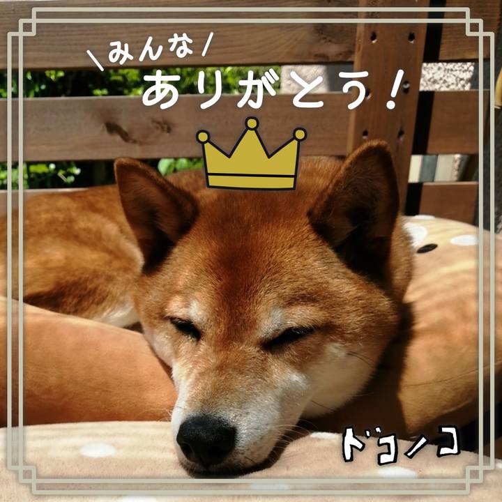 Bd138b7c d1d9 42e4 a129 7129020b0a9f 1623202536906