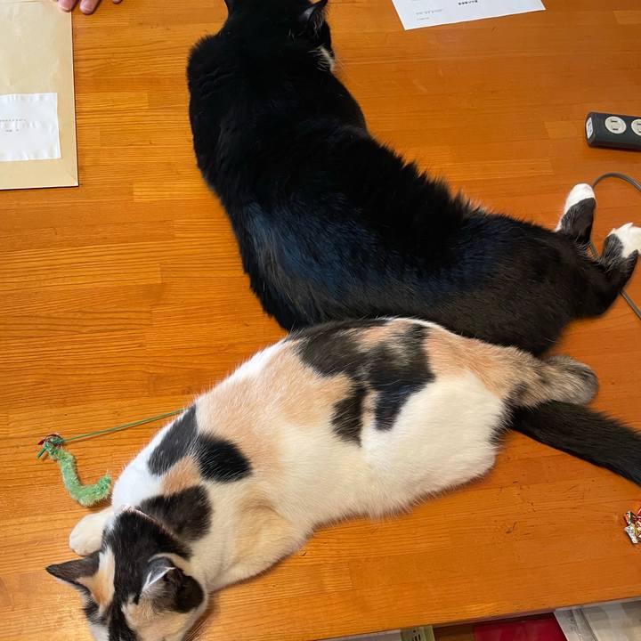 Bd1399f2 ea16 4992 84ec f796f9213329 1755562102684