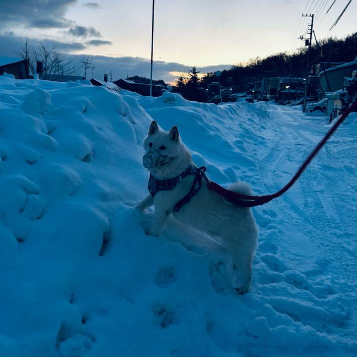 Bd139b90 208c 4a10 a1de 96748dabee14 1735252076738