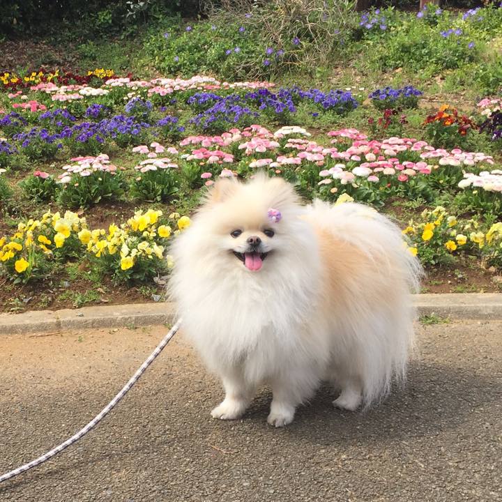 Bd13c4aa 012a 4a7f 8500 d19e5cd1d473 1584917203398