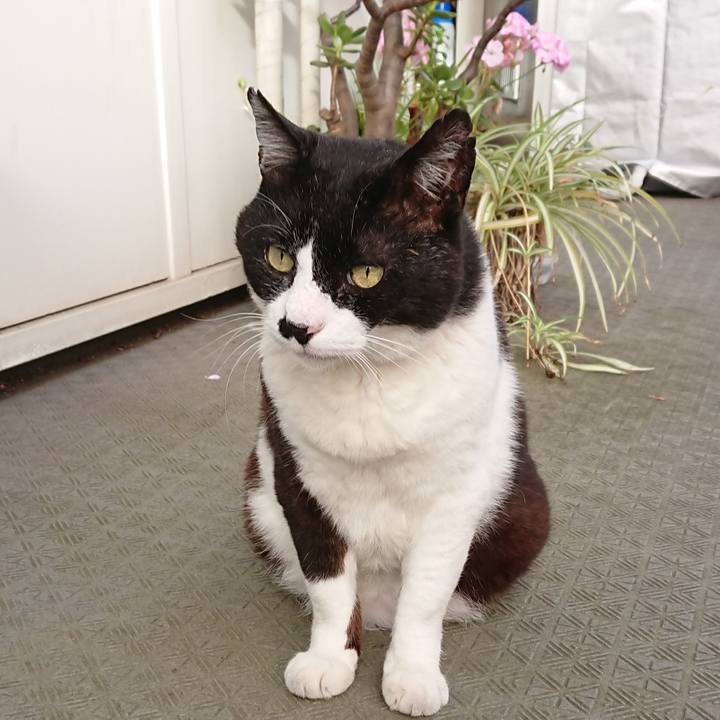 Bd13e7ea ab1f 44a8 8f6b e4b6af0deff3 1591825899532