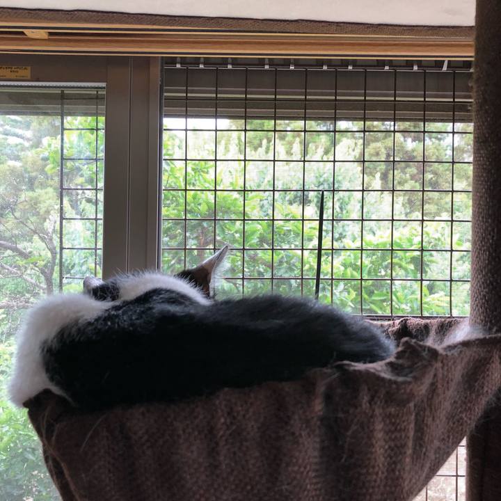 Bd13f784 a26b 498f 9f46 d6fd4deff29f 1561190140780