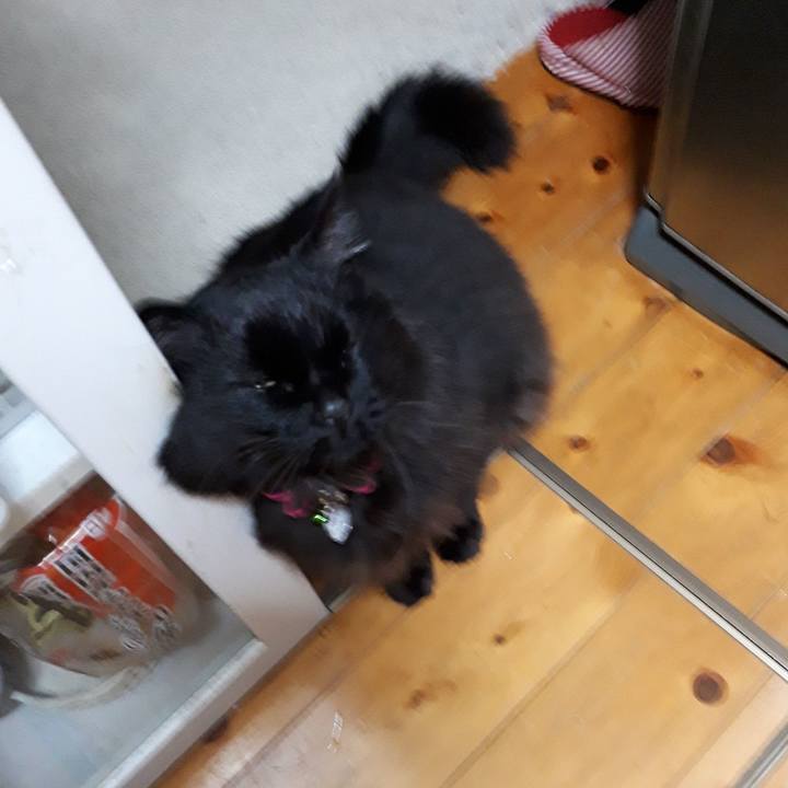 Bd13fdd0 93a1 4eec 88f2 934d5c68f30d 1522254327455