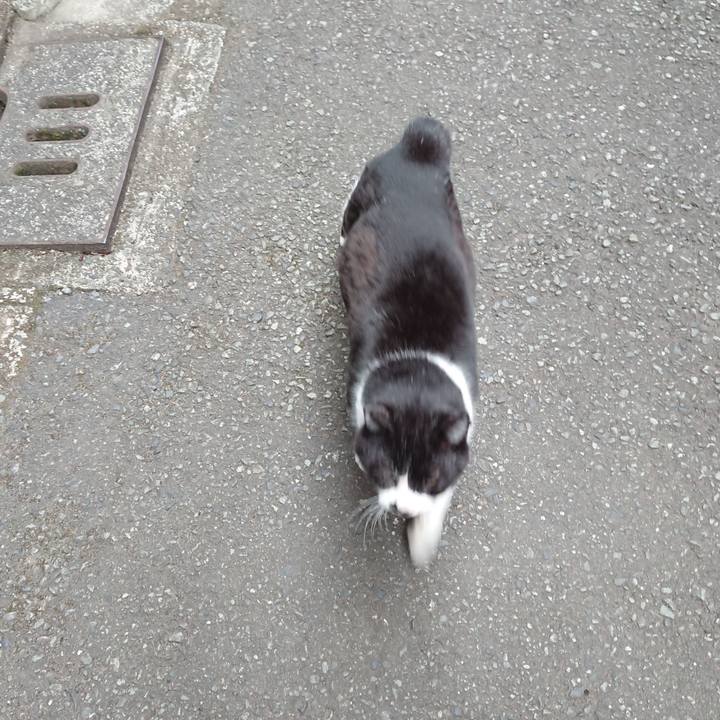 Bd140d5f 5938 4160 895d 4d5e323bc870 1678612710384