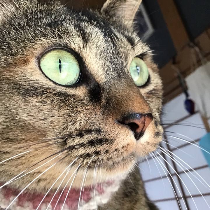 Bd140def 16ca 4d92 8490 593c8a33737b 1691228851377