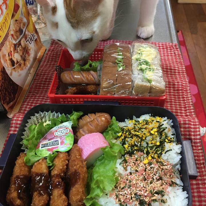 Bd141774 8e68 40c9 a548 ad9cbe3f2cb8 1524748977254