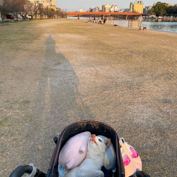 Bd143232 2014 4987 80aa 85499cb9453d 1678011855888