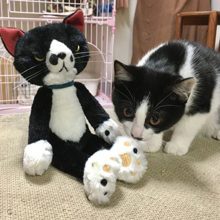 Bd146b62 2726 4b31 929d e542222481fe 1625792653042