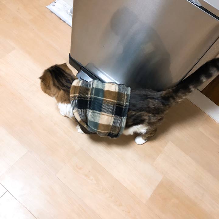 Bd1470ad 2380 4d86 8950 64cbe1f9e0f8 1547303901970