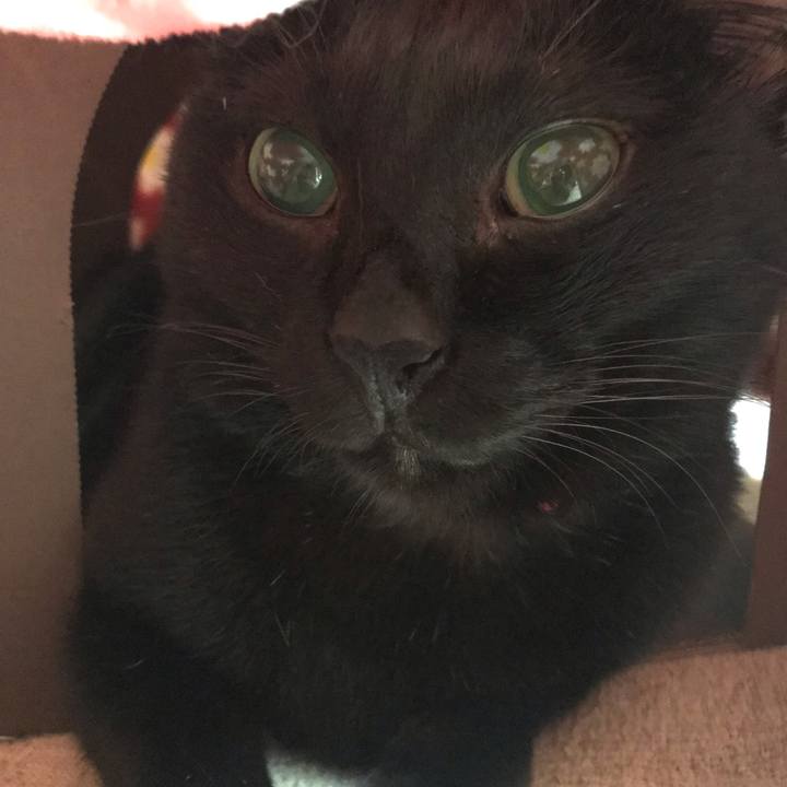 Bd1494d8 7ce1 48a6 8bd4 2bf839d35cc1 1544711576607