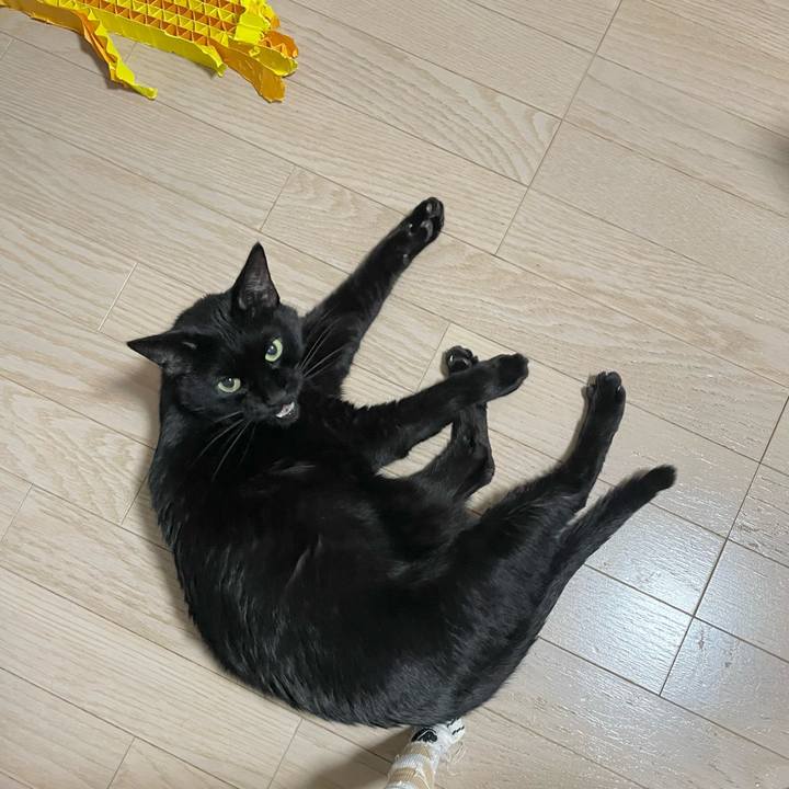 Bd1495e6 1cbd 4f86 8cc3 d9e6d6097b7d 1676542200992