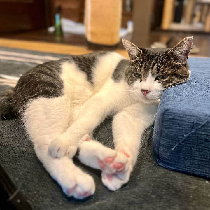 Bd14d194 b922 4625 a209 409152b3d31a 1760707814746