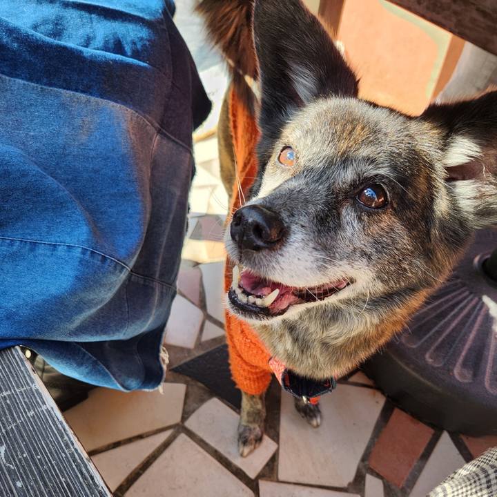 Bd14d209 dfc8 489d afa1 5bbfcebe4e1c 1678665006832