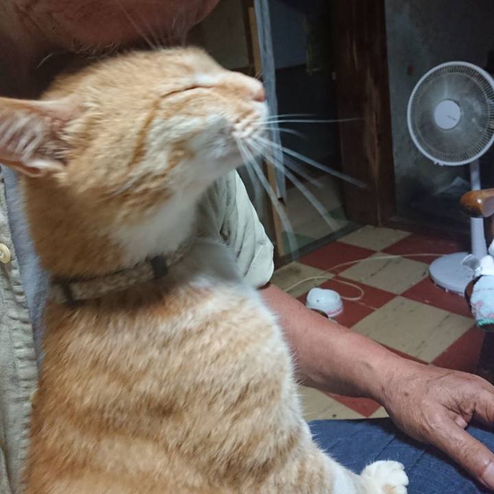 Bd151f04 102a 412e b522 e72b4b64ba5d 1594152134957