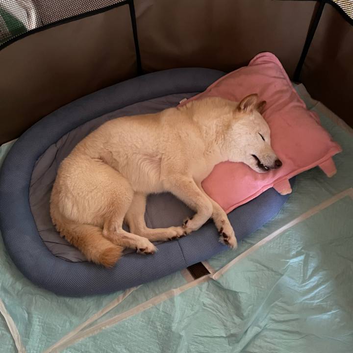 Bd155207 4b98 453f b056 4fa966f2e2ad 1654404871215