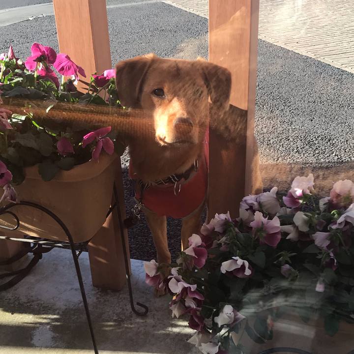 Bd1555c2 430d 47d2 bb0f a42f07ef1bb7 1546147766533