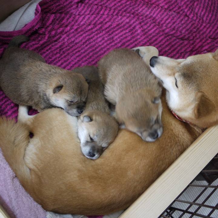 Bd157c1d 774b 47a1 b2df 95ab8e868345 1519917758795