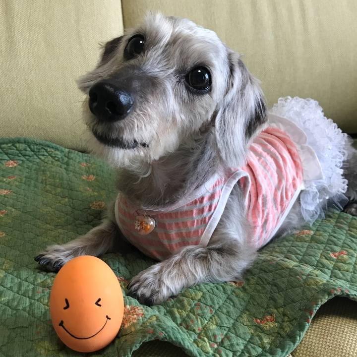 Bd15956d f967 4352 bbf5 277112761892 1507701029475