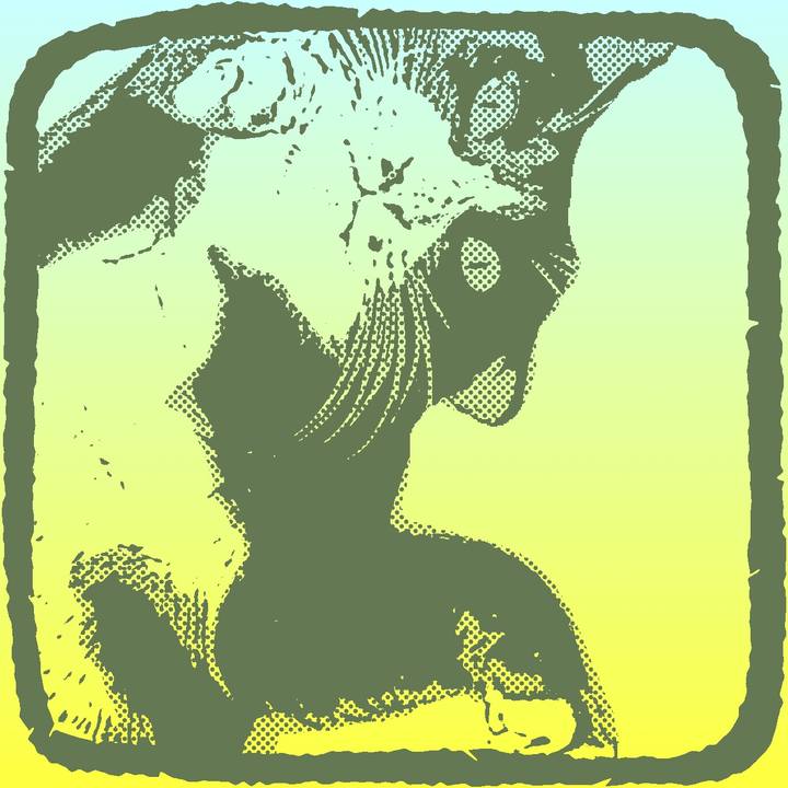 Bd159c41 50ab 40a2 8fe5 1e72ac0d2771 1734954006560