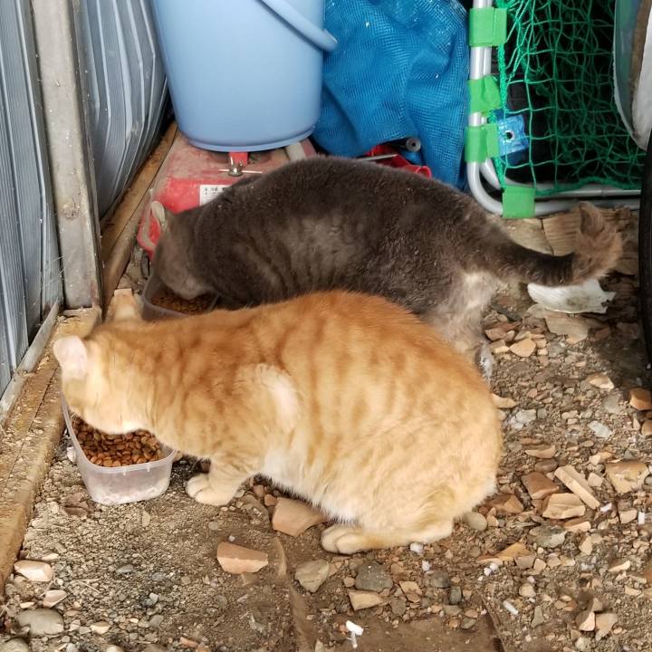 Bd15d67d df72 43af 8416 6d522f1224f1 1549517687852