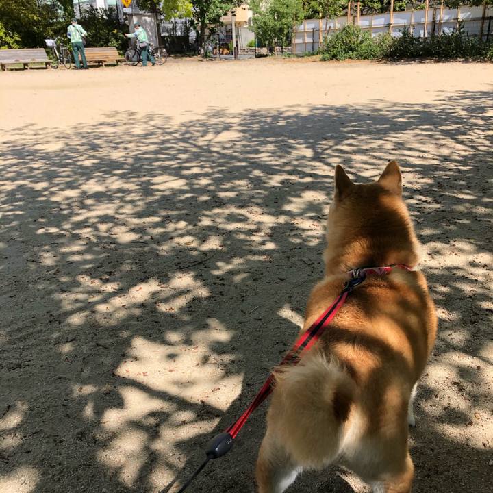 Bd15f2a2 30ee 4811 a58f 478e497bcecb 1555765911841