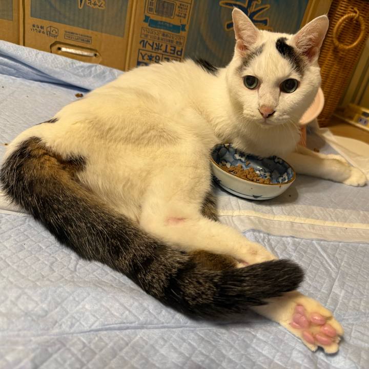 Bd15f9aa 3842 4ea9 b37b 2eef7c38fa7b 1761086236583