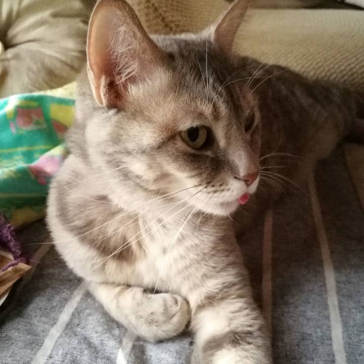 Bd161bde 1866 4f35 ad00 5cd22bfcca27 1514017902623