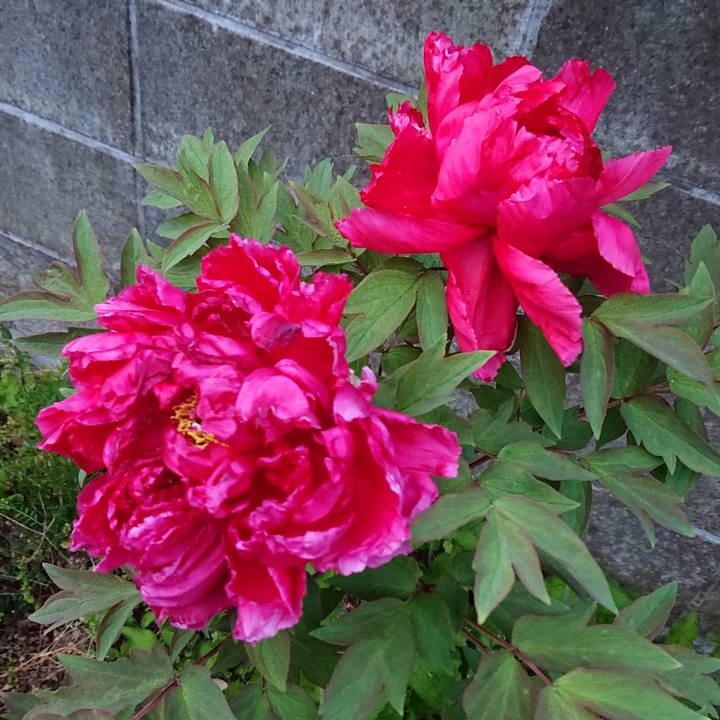 Bd1647b1 89b9 4e86 8e9d 686e6c6453fc 1649892328711