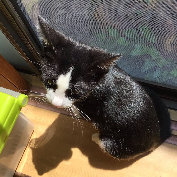 Bd1661cf 4a56 43b9 bc42 7b5b35530012 1626841186092