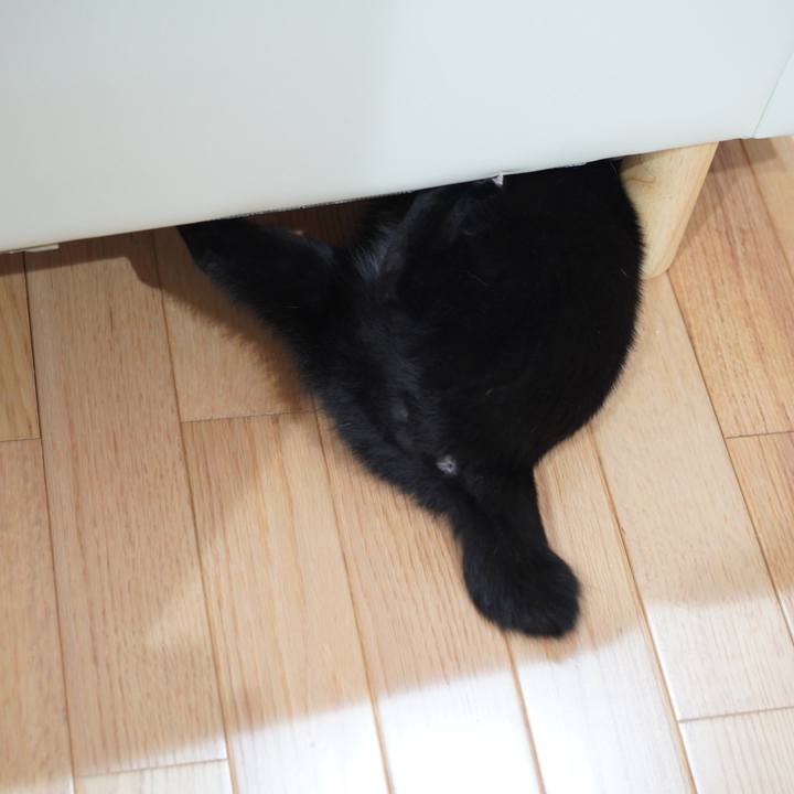 Bd16728f 846f 4cde 985a 4150c8ea9004 1577026187087