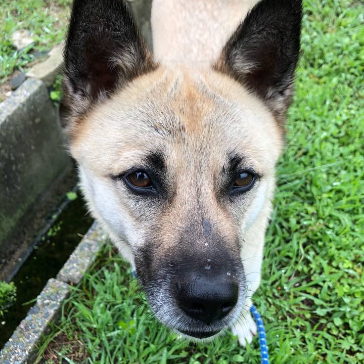 Bd167eae d6d3 4c84 afa4 0b86c34623b4 1562071426854