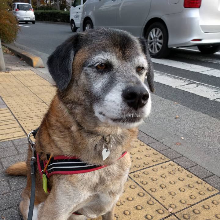 Bd1691fe d8cd 4f8b b96a 868f10e95df1 1543967381812