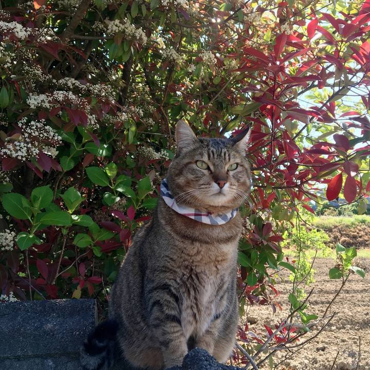 Bd171848 068a 42fe b397 5fc85658bc45 1619397869150