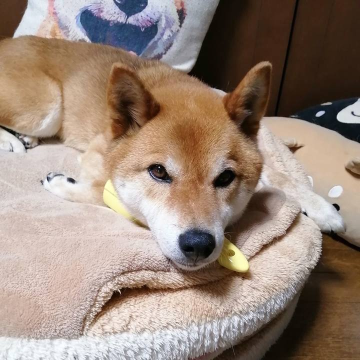 Bd174c97 8198 44b7 b057 031756ee320b 1590481554944