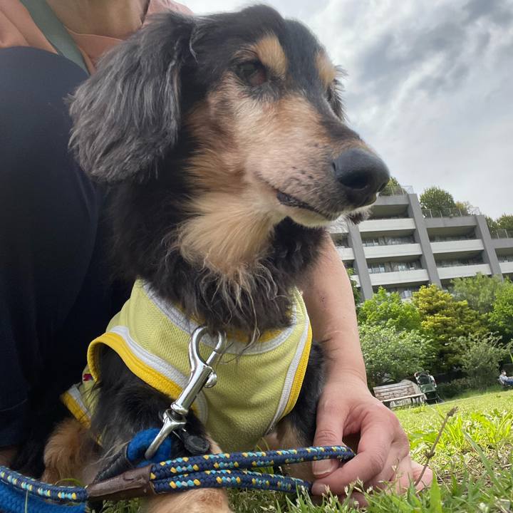 Bd177da0 eb1b 48b5 842b 498b6bf0b6c0 1746951056953