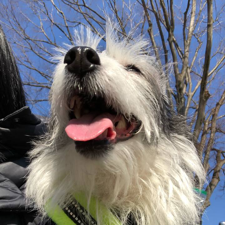 Bd1835d0 86e6 4a0c b5dc c02143070832 1549198463604