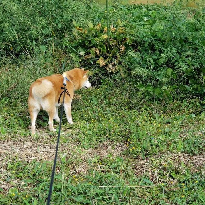 Bd1838db 1f35 4521 a55d 701fff6b4cf3 1569288081887