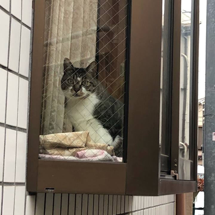 Bd1841a4 a84f 474a 94ee d6b2f3114c9c 1620575771337