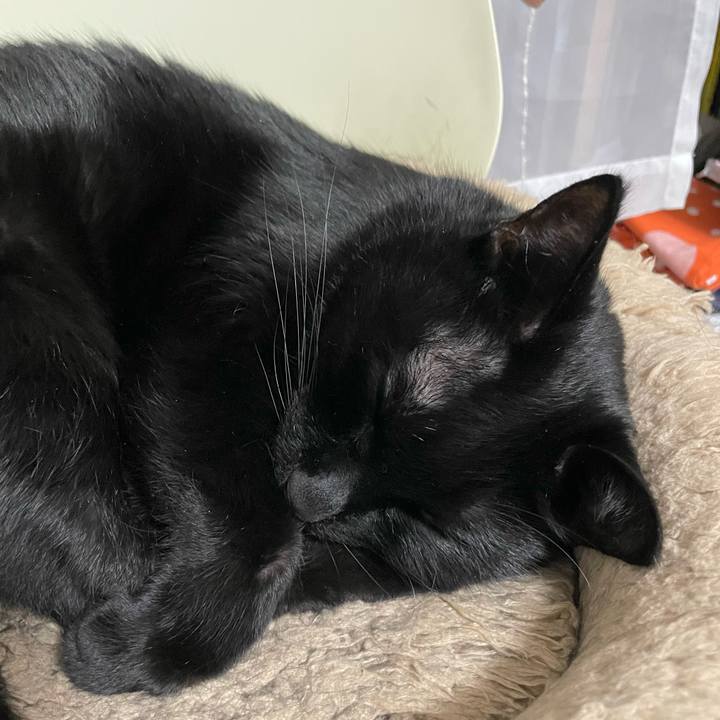 Bd1859dc 751d 4c0d 8103 1a62171a5924 1676034591685