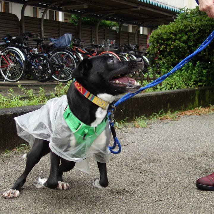 Bd1870cf 1da8 48ab 996b f8fcfc5a789d 1595723039425